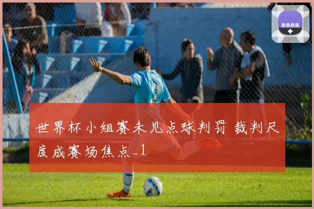 世界杯小组赛未见点球判罚 裁判尺度成赛场焦点_1