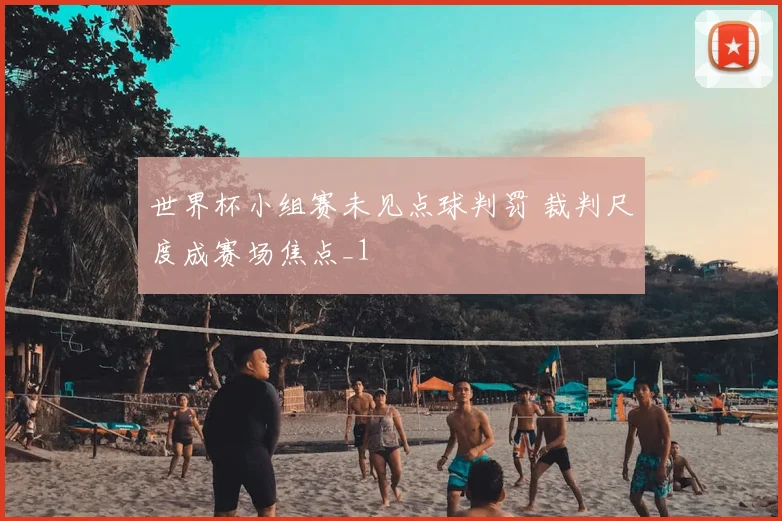 世界杯小组赛未见点球判罚 裁判尺度成赛场焦点_1