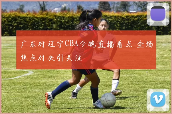 广东对辽宁CBA今晚直播看点 全场焦点对决引关注