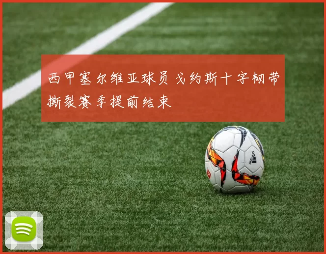 西甲塞尔维亚球员戈约斯十字韧带撕裂赛季提前结束