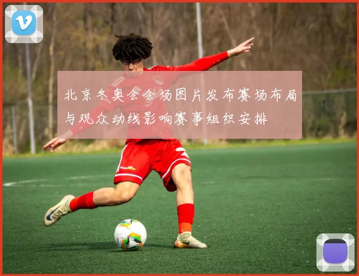 北京冬奥会会场图片发布赛场布局与观众动线影响赛事组织安排